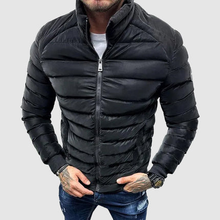 Men's Puffer Jacket Quilted Insulation High Collar Fitted Style
