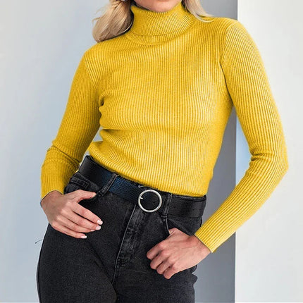 Women's Turtleneck Ribbed Knit Sweater