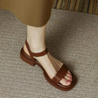 Brown / UK 3 / EU 35 / US 5